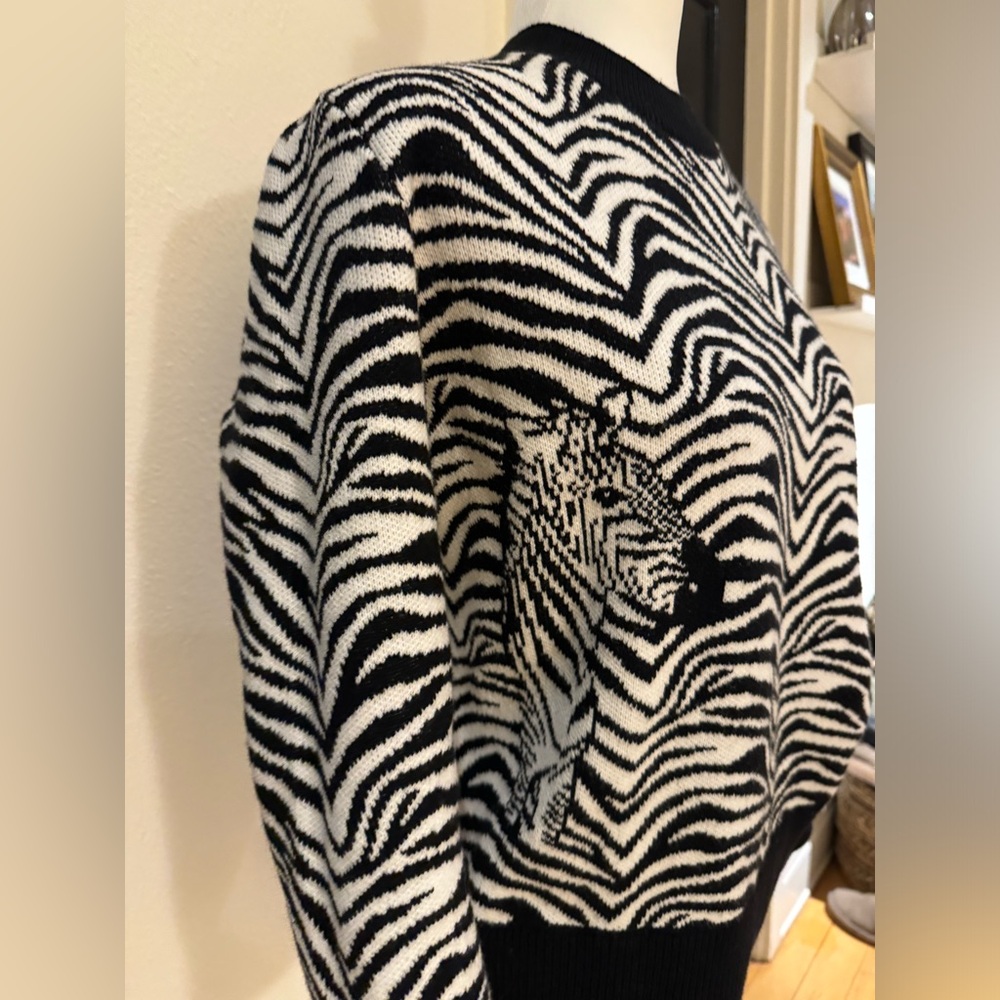 Banana Republic Zebra Sweater